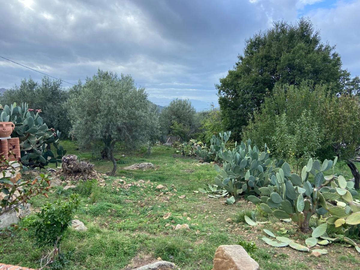 Villa Al Presti, Vacanze In Pieno Relax Cefalù Extérieur photo