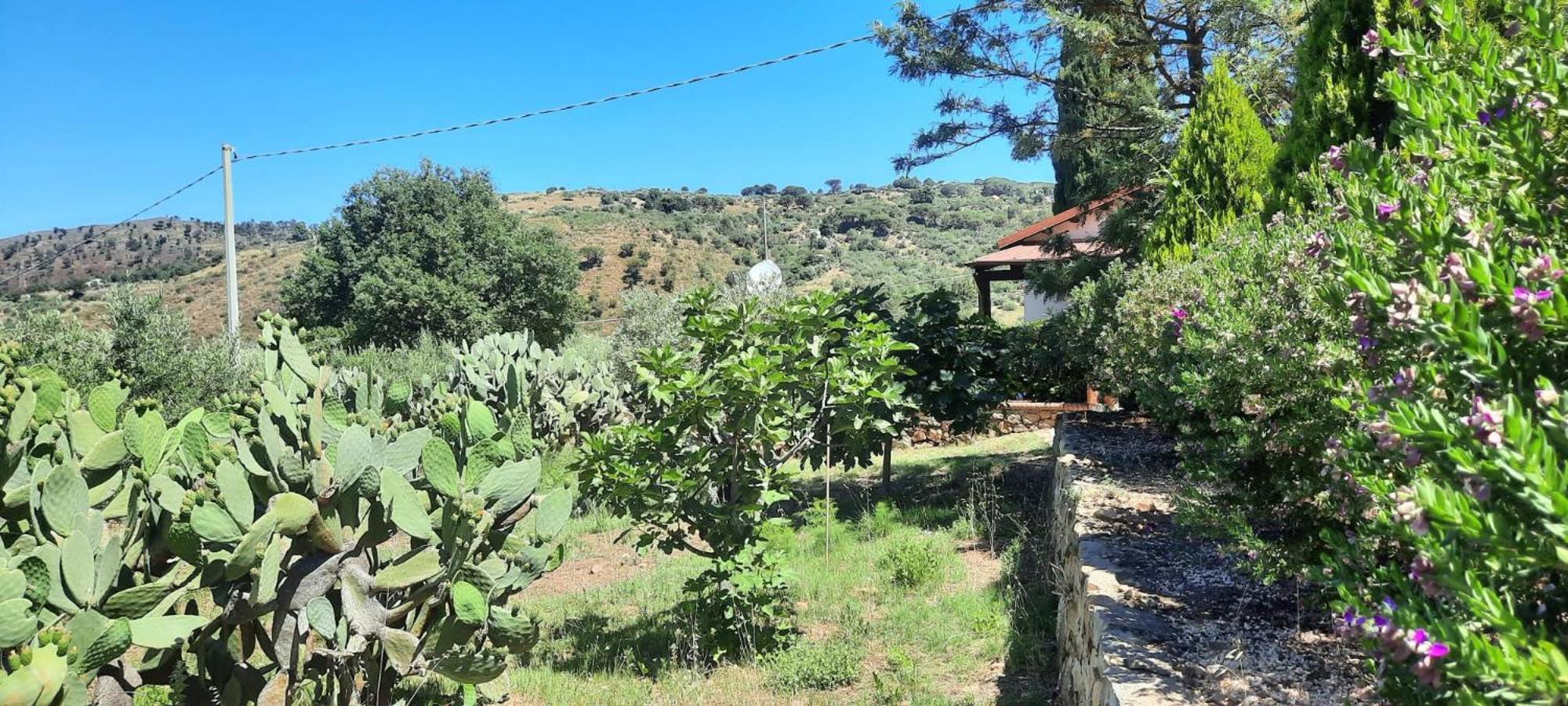 Villa Al Presti, Vacanze In Pieno Relax Cefalù Extérieur photo